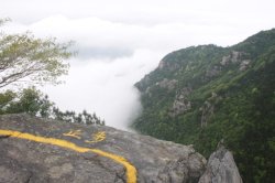 Vale IMG_2251 (FILEminimizer)