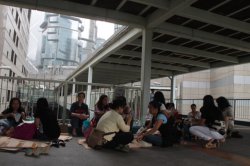 IMG_2853 (FILEminimizer)