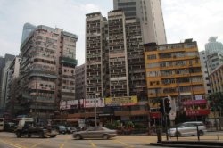 IMG_2949 (FILEminimizer)