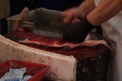 IMG_3193 (FILEminimizer)