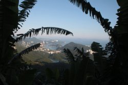 IMG_3288 (FILEminimizer)