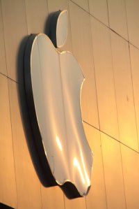 IMG_9788 (FILEminimizer)