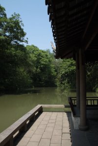 IMG_9847 (FILEminimizer)