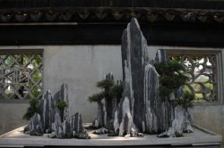 IMG_9952 (FILEminimizer)