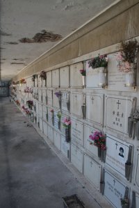 IMG_3386 (FILEminimizer)