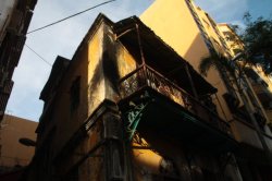 Luz e Amarelo IMG_3519 (FILEminimizer)