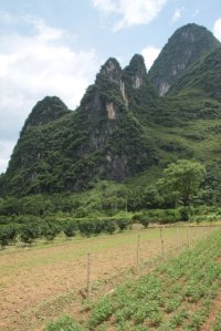 IMG_4306 (FILEminimizer)