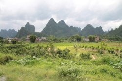 IMG_4389 (FILEminimizer)