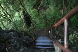 IMG_4526 (FILEminimizer)