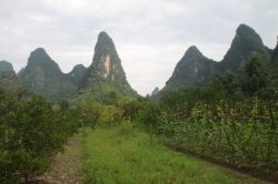 IMG_4546 (FILEminimizer)