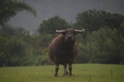 IMG_4687 (FILEminimizer)