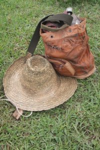 IMG_4710 (FILEminimizer)