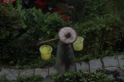 IMG_4794 (FILEminimizer)