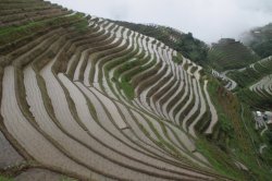 IMG_4852 (FILEminimizer)