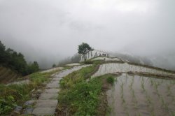 IMG_4862 (FILEminimizer)