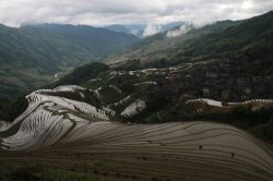 IMG_5004 (FILEminimizer)