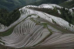 IMG_5010 (FILEminimizer)