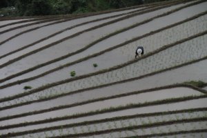 IMG_5014 (FILEminimizer)