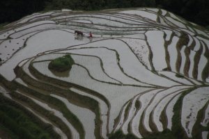 IMG_5056 (FILEminimizer)