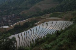 IMG_5096 (FILEminimizer)