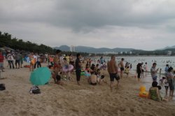 IMG_5153 (FILEminimizer)