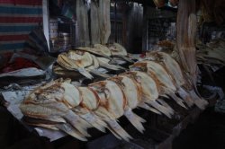 IMG_5327 (FILEminimizer)