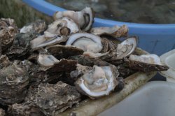 IMG_5611 (FILEminimizer)