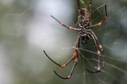 IMG_5782 (FILEminimizer)