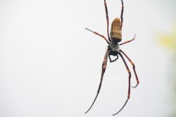 IMG_5783 (FILEminimizer)