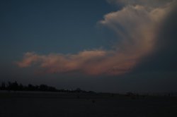 IMG_5889 (FILEminimizer)