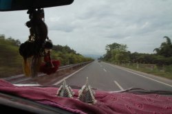 IMG_6161 (FILEminimizer)