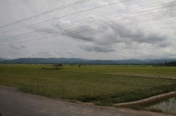 IMG_6188 (FILEminimizer)