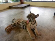 DSCN4229 (FILEminimizer)