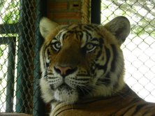 DSCN4261 (FILEminimizer)