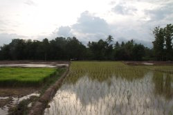 IMG_6215 (FILEminimizer)