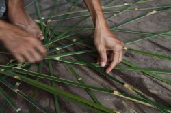 IMG_6280 (FILEminimizer)