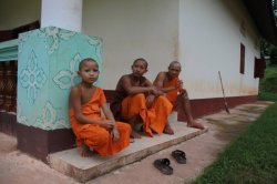 IMG_6534 (FILEminimizer)