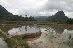 IMG_6621 (FILEminimizer)