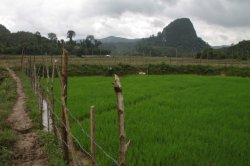 IMG_6624 (FILEminimizer)