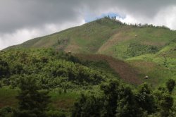 IMG_6979 (FILEminimizer)