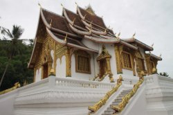 IMG_7272 (FILEminimizer)