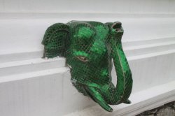 IMG_7274 (FILEminimizer)