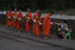 IMG_7412 (FILEminimizer)