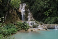 IMG_7495 (FILEminimizer)