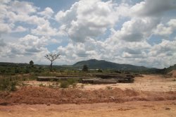 IMG_7698 (FILEminimizer)