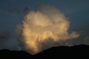 IMG_7836 (FILEminimizer)