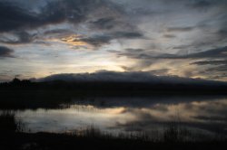 IMG_7888 (FILEminimizer)