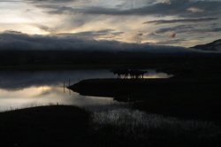 IMG_7892 (FILEminimizer)