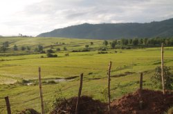 IMG_7940 (FILEminimizer)