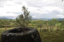 IMG_7974 (FILEminimizer)